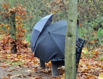 D33 3593 bewerkt 1