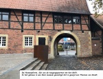 IMG 7341T